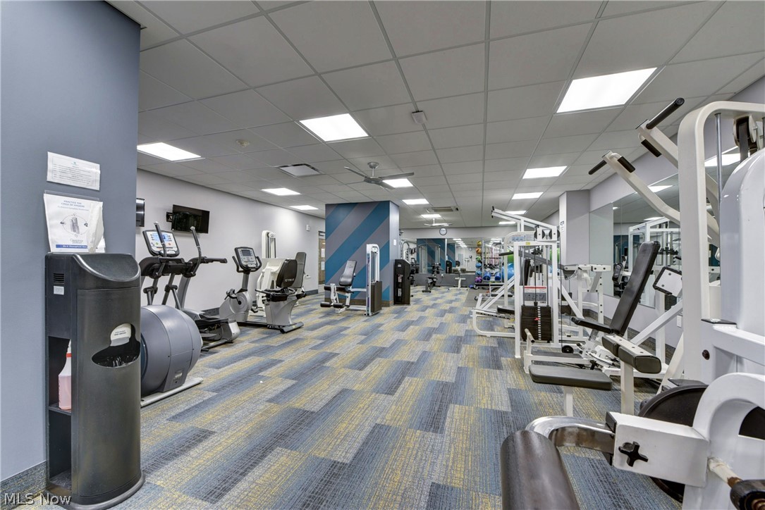 The Carlyle - Residential