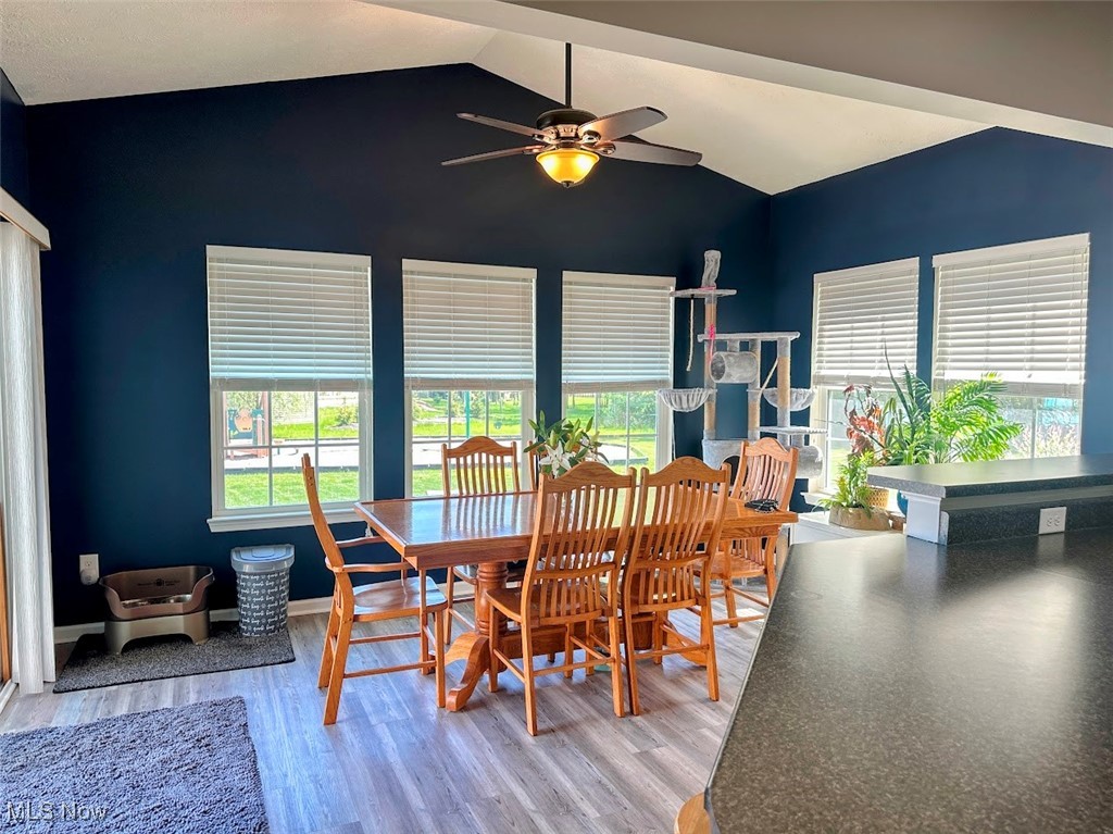 31944 Rustic Ridge, North Ridgeville, Ohio image 9