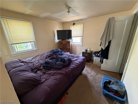 Tiny photo for 1187 Mercer Avenue, Akron, OH 44307 (MLS # 5210004)