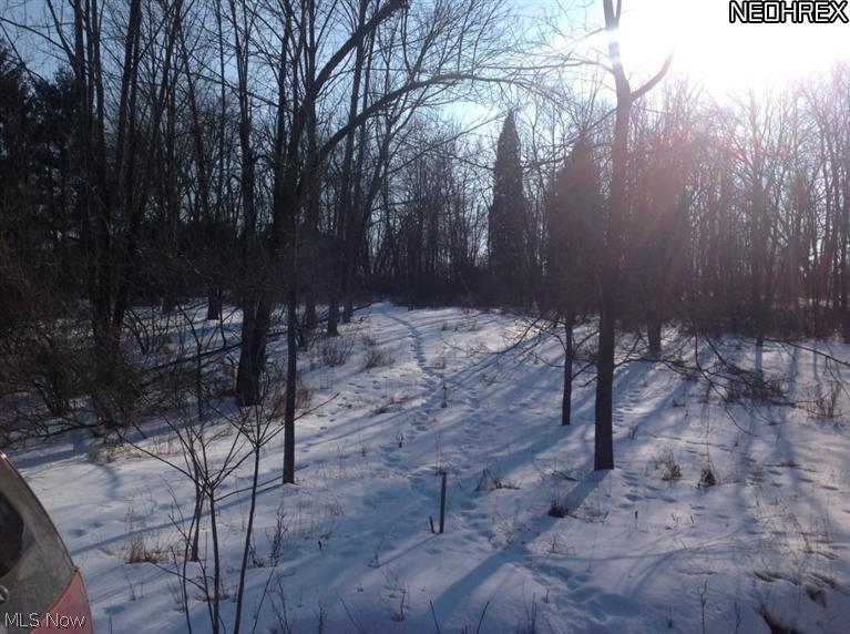 LAKE BUCKHORN - Land