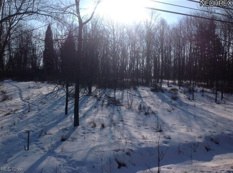 LAKE BUCKHORN - Land