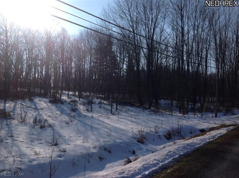 LAKE BUCKHORN - Land