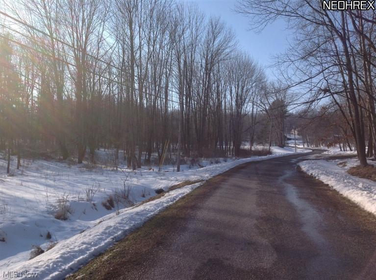 LAKE BUCKHORN - Land