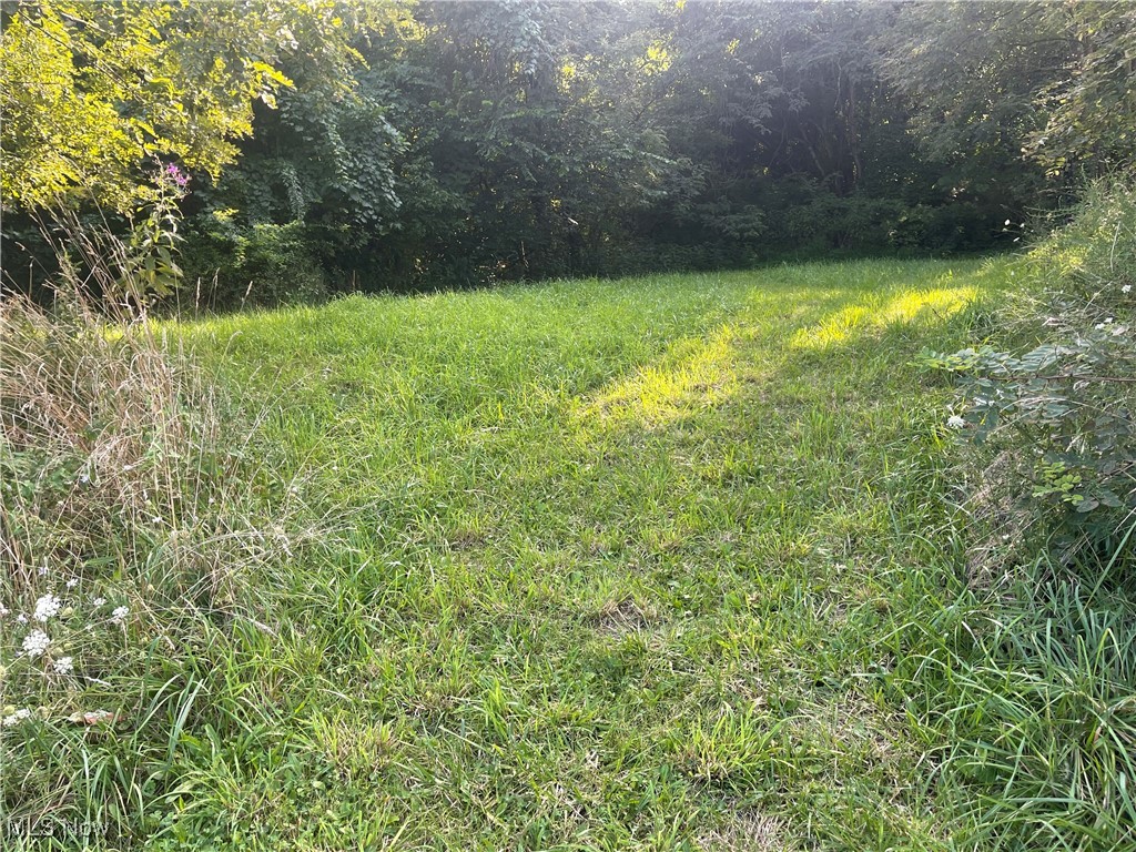 53956 Stop Hill 32, Blaine, Ohio image 1