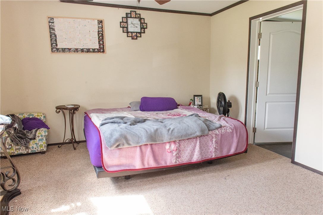 4691 Scenic Drive, Ravenna, Ohio image 10