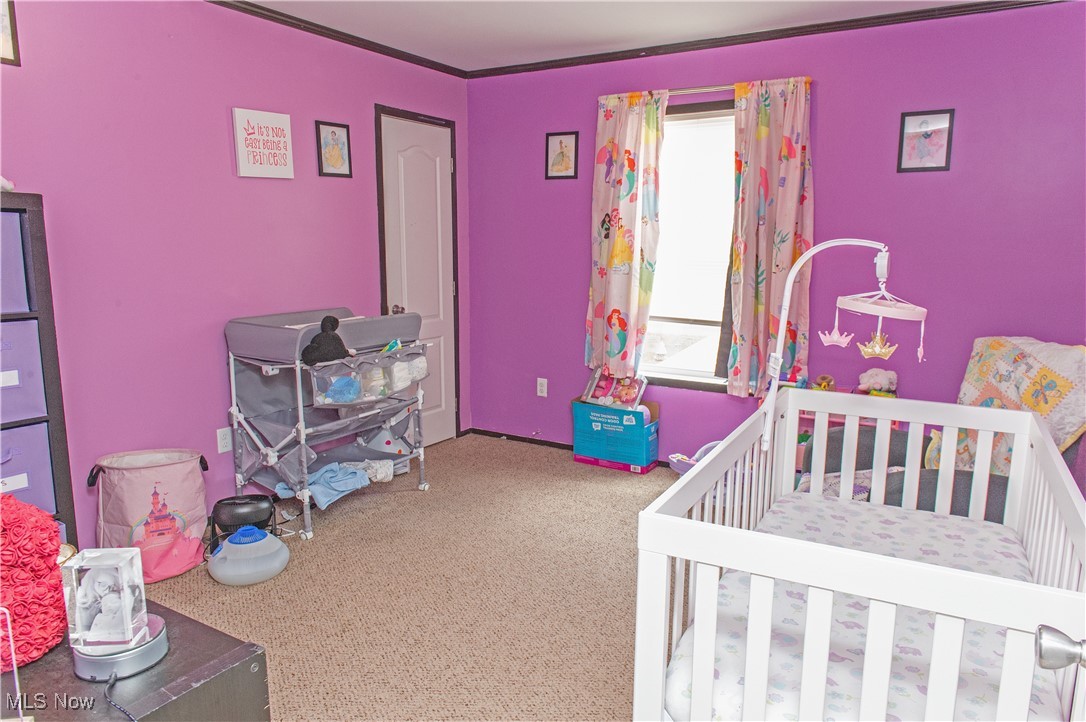 4691 Scenic Drive, Ravenna, Ohio image 15