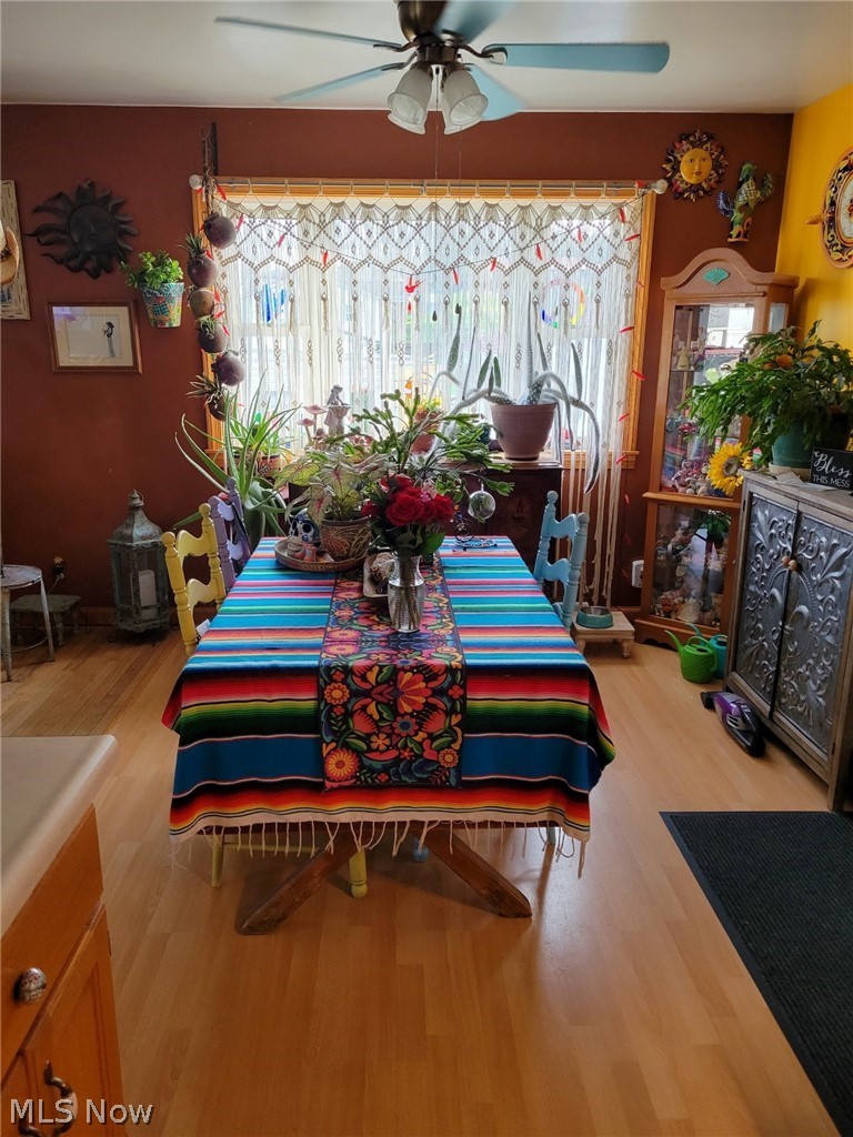 Springdale 04 - Residential