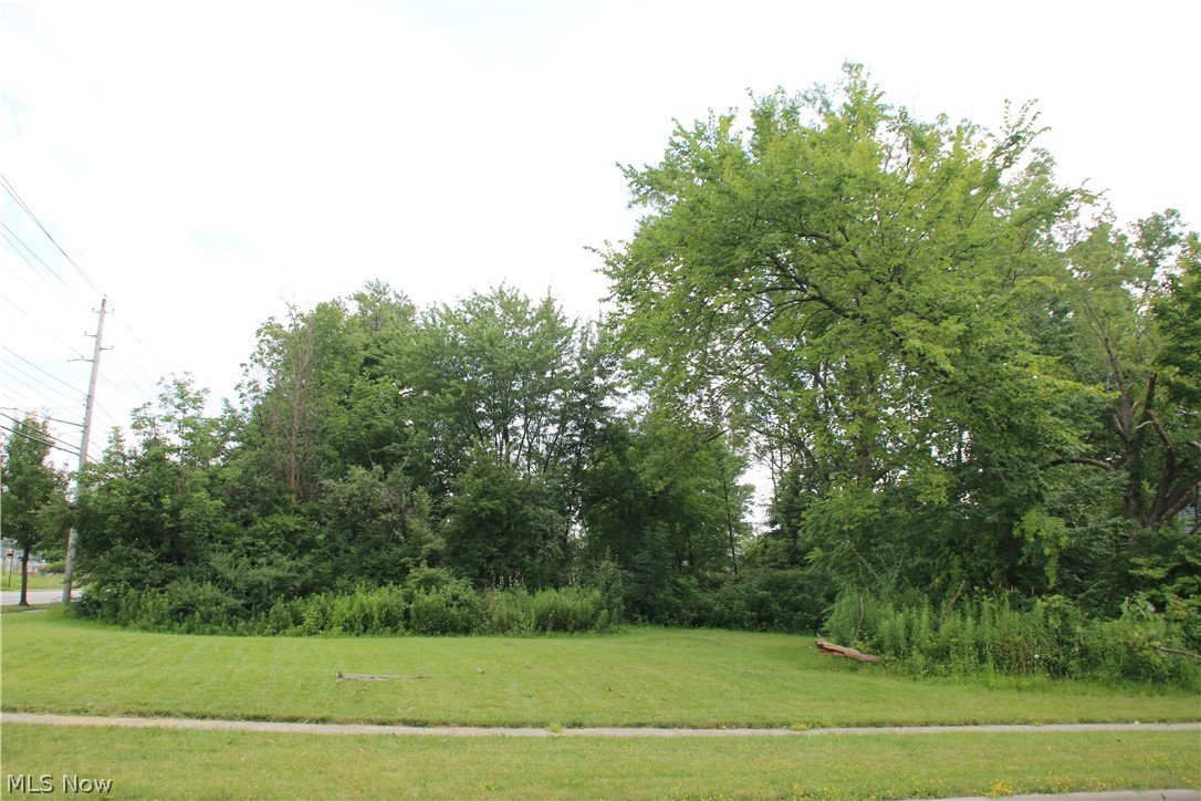 Twinsburg Heights - Land