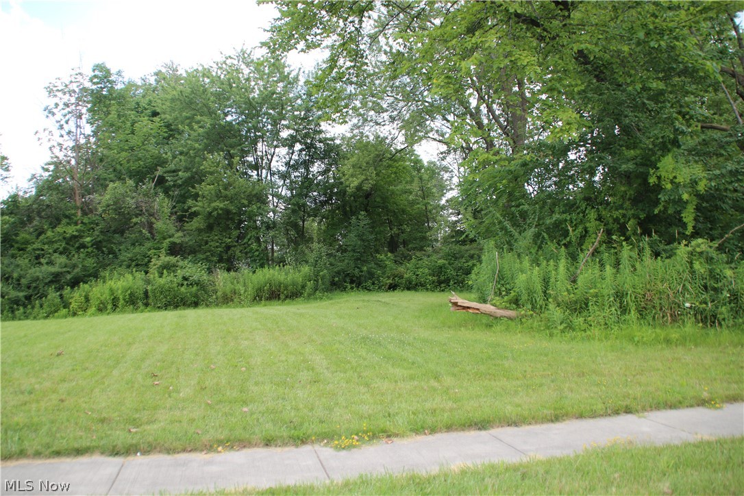 Twinsburg Heights - Land