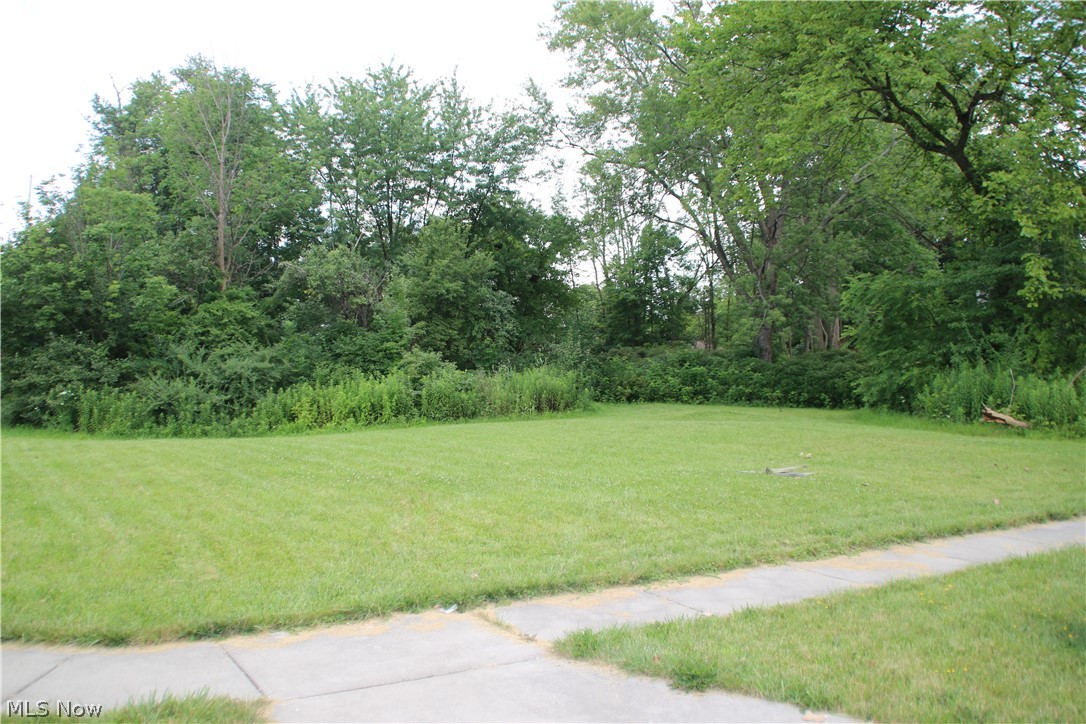 Twinsburg Heights - Land