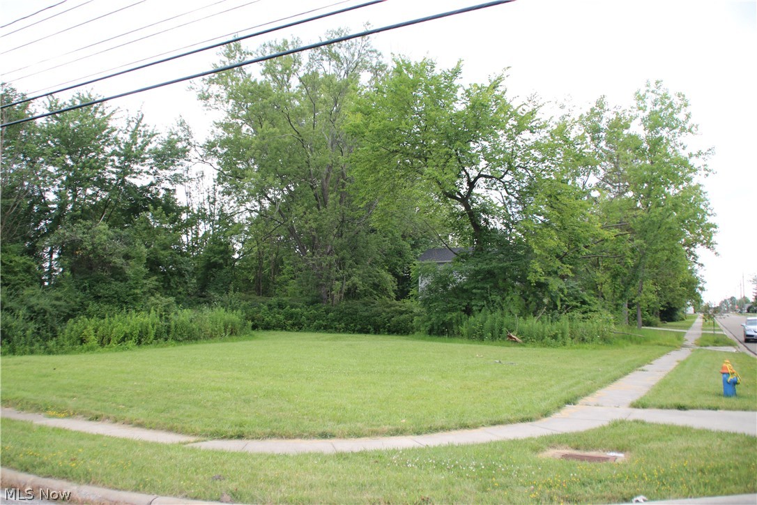 Twinsburg Heights - Land