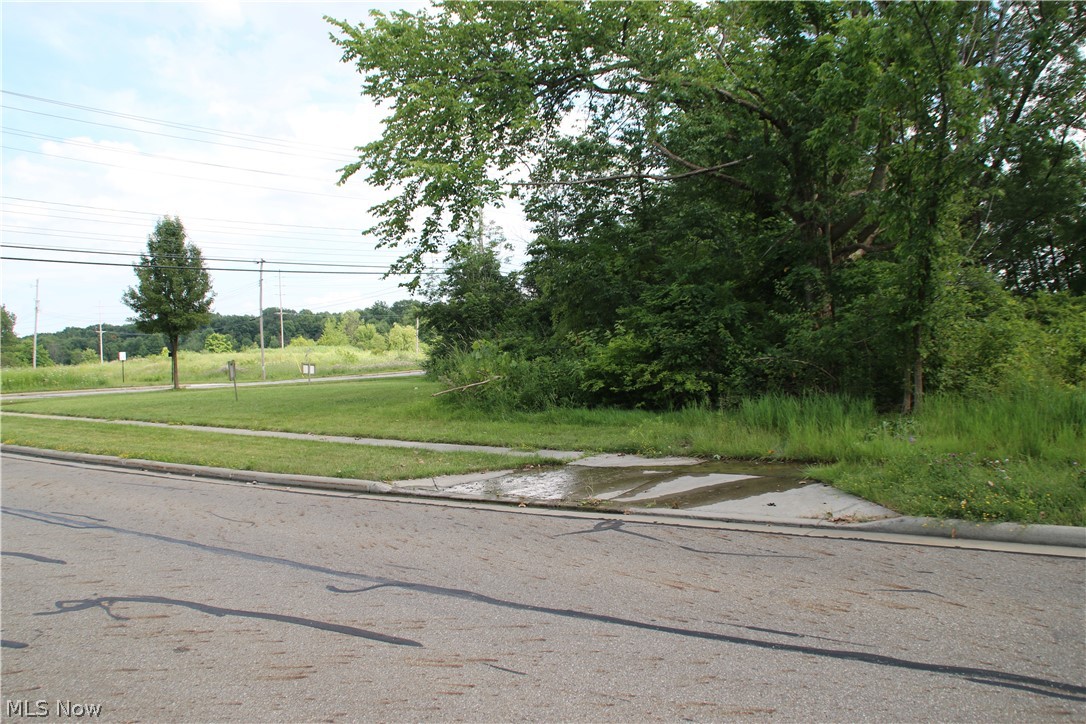 Twinsburg Heights - Land