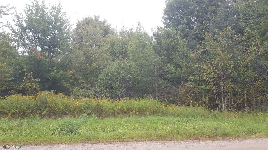 Wooded 13.29 acres zoned Agricultural