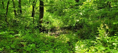 Tiny photo for Hollis Clark Road, Caldwell, OH 43724 (MLS # 5209771)