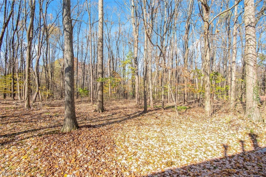 Woodland Lake - Residential