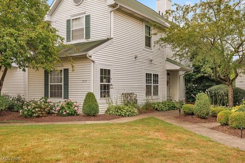 375 Vista Circle Unit 23C, North Olmsted, OH 44070 - #: 5141732