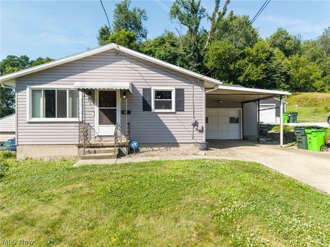 Homes For Sale - 260 Hazelwood Avenue<br/> Summit County, Barberton, OH 44203