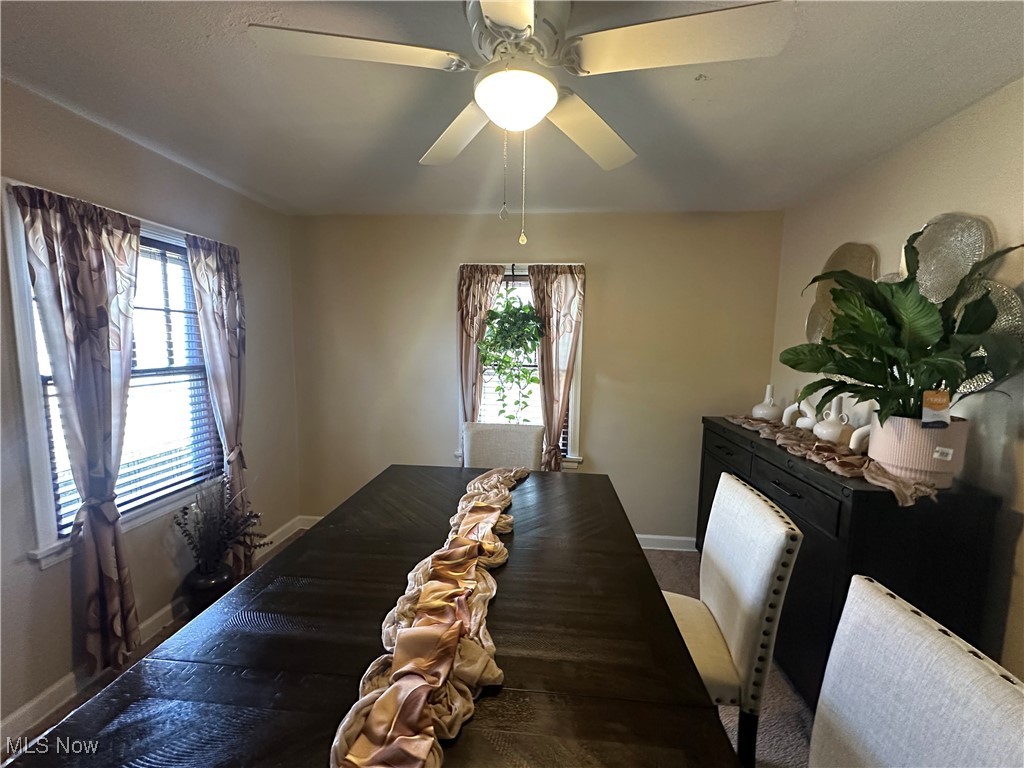 579 Roxbury Avenue, Youngstown, Ohio image 3