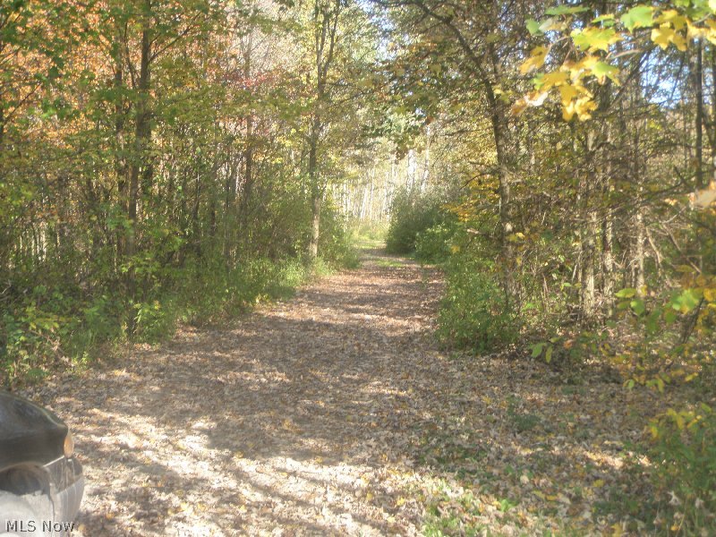 Connecticut Western Reserve - Land