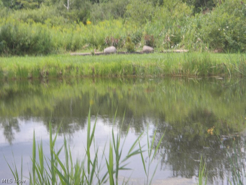 Connecticut Western Reserve - Land