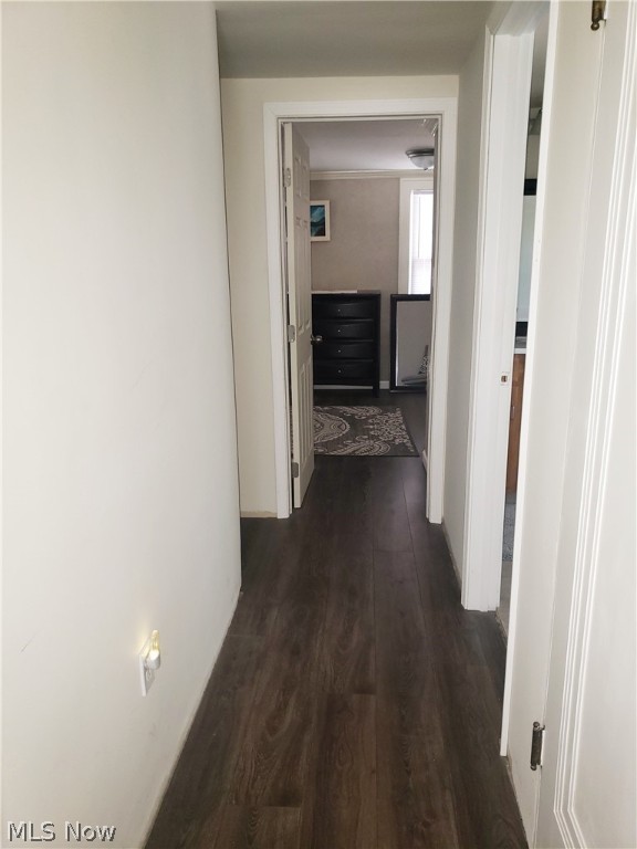 Elmwood - Residential