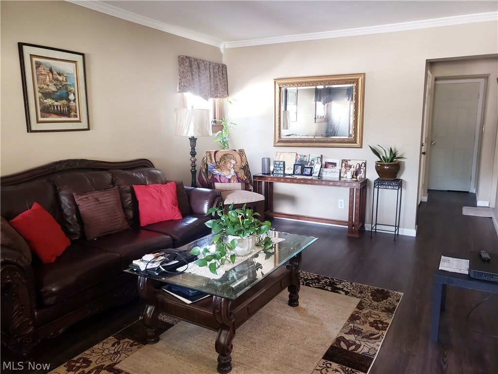 Elmwood - Residential