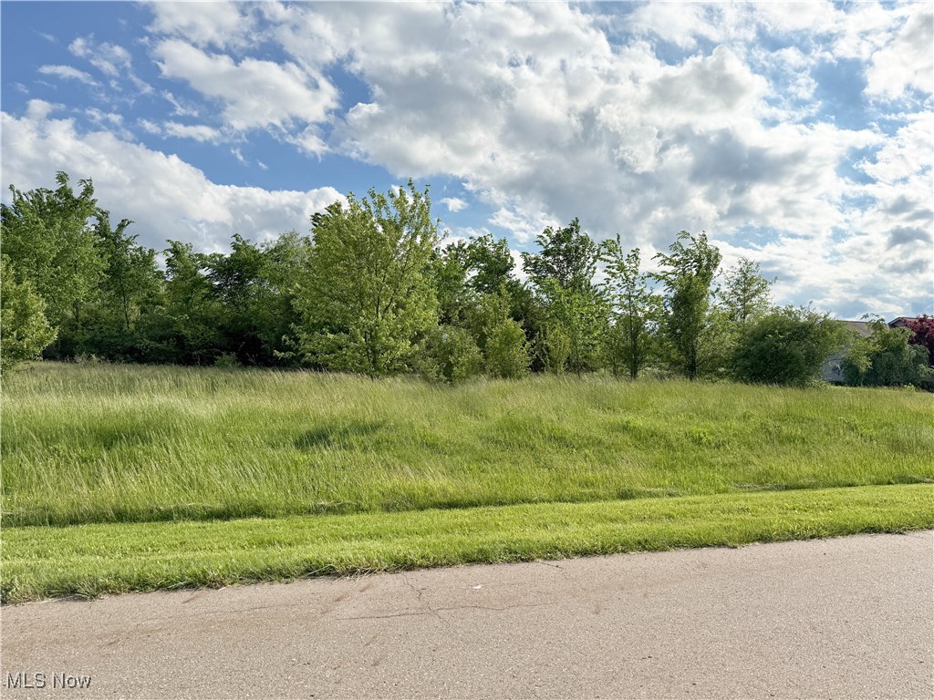 Foxwood Chase 01 - Land