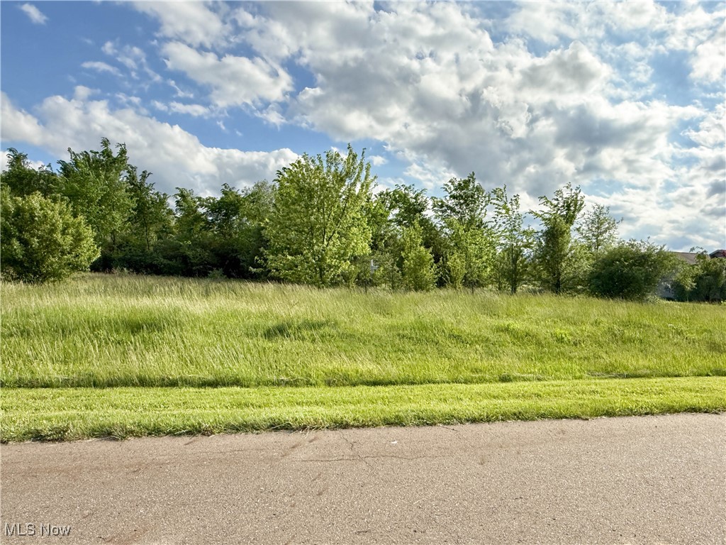 Foxwood Chase 01 - Land