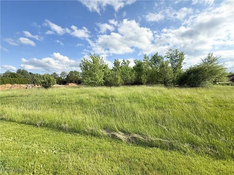 Tiny photo for 49451 Foxwood Lane, East Palestine, OH 44413 (MLS # 5095288)