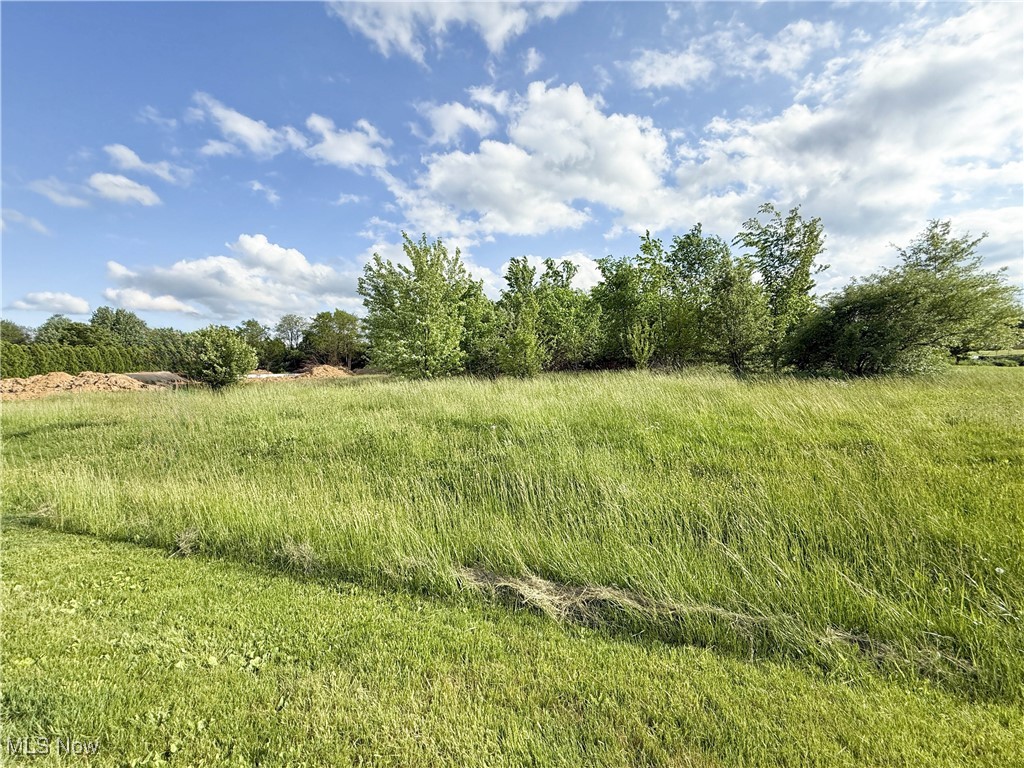 Foxwood Chase 01 - Land