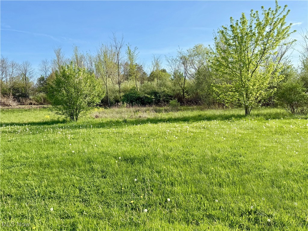 49451 Foxwood Lane, East Palestine, Ohio image 2