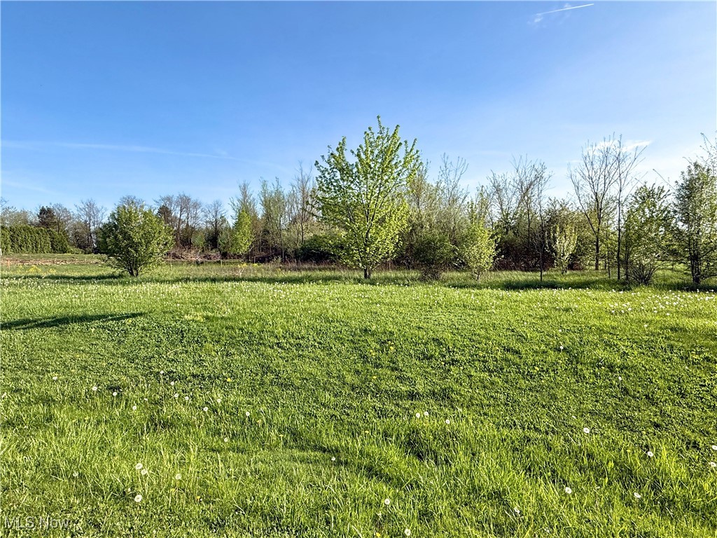 49451 Foxwood Lane, East Palestine, Ohio image 1