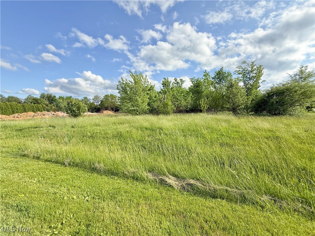 Foxwood Chase 01 - Land