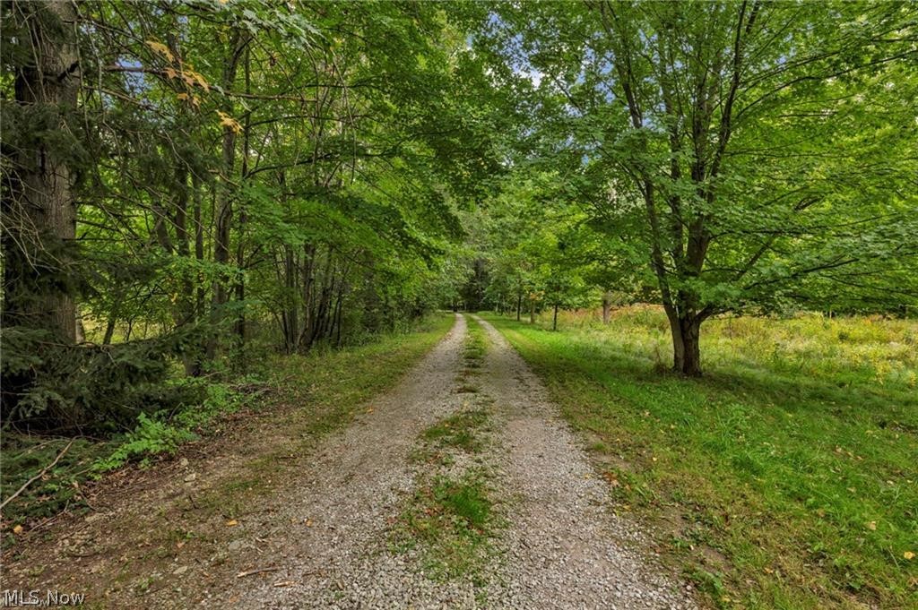 Ridgeville - Commercial Sale