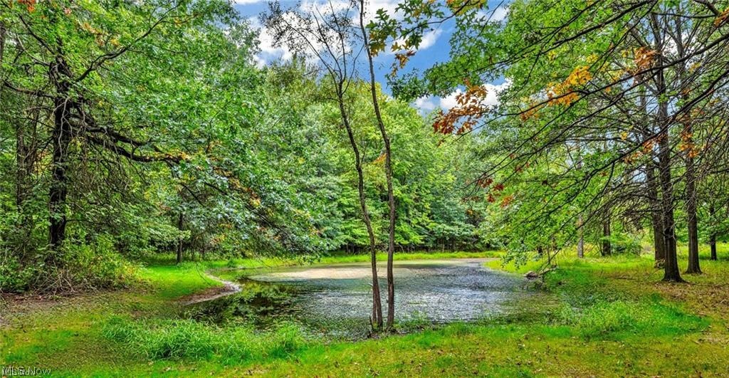 Ridgeville - Commercial Sale