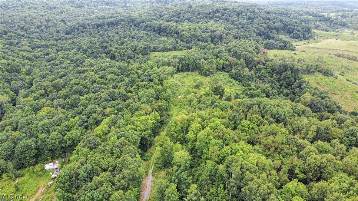 43998 Hammond School Road