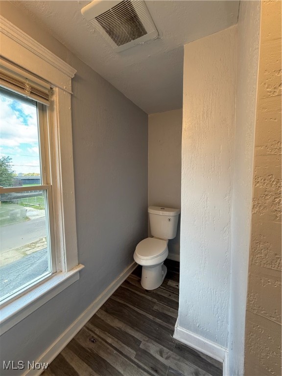 Steiner & Companys Allotment - Residential Lease