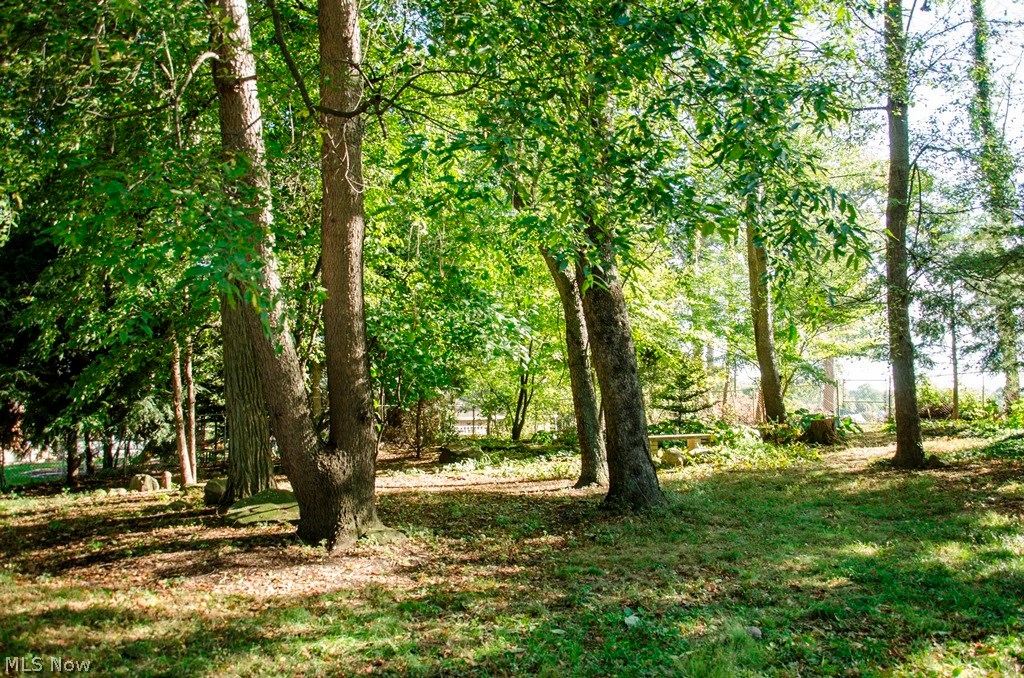 Scenic Rdg Allotment - Residential