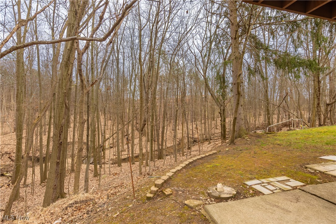 18031 Meadow Lane, Strongsville, Ohio image 7
