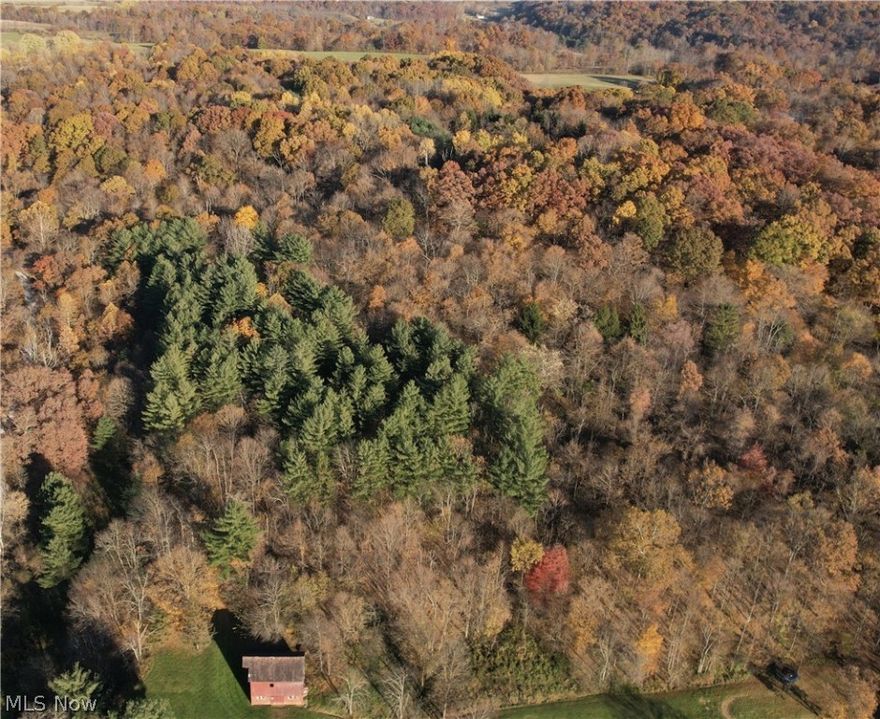 Opportunity Knocks w/ these 37 +/- acres are made up of 5 parcels.This property is a great hunting or recreational opportunity and has the potential for building sites as it is gently rolling with some woods.The mature woods are a great place to enjoy some southeastern Ohio landscape!There is an early 1900’s barn on location that can be used for storage or possibly a portion could be turned into a hunting cabin.Like most of southeast Ohio this property is made up of hillsides with a ridge along the center of land.You have good access via an old tractor road going from the barn,and it makes is way through the property to the NE corner.Being approximately 10 miles from Senecaville Lake you will have a short drive to enjoy all the features this area has to offer.Not to mention,just 10 minutes from Caldwell,where there are several shopping and restaurant amenities.Wolf Run State Park and Caldwell Lake are just a few miles up the road as well.You don’t want to miss this auction.OPPORTUNITY