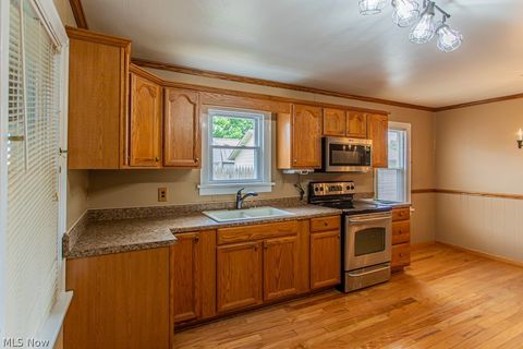 Tiny photo for 294 West Street, East Palestine, OH 44413 (MLS # 5206907)
