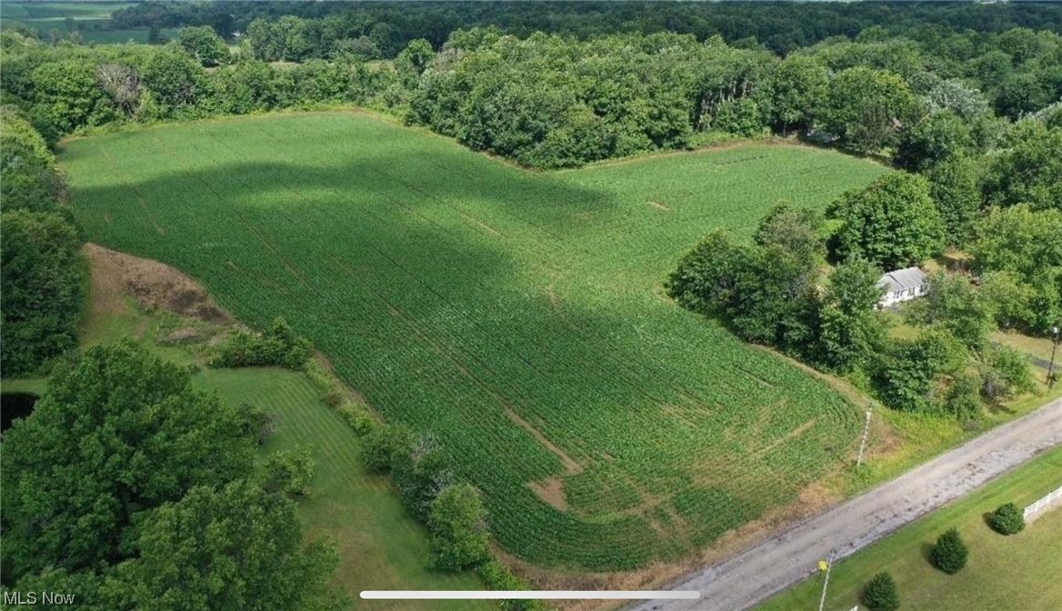 Green Beaver Road, Canfield, Ohio image 1