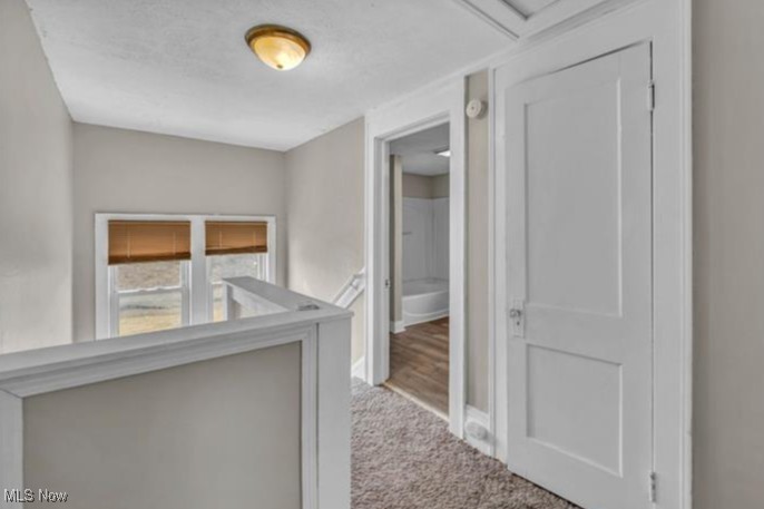 France-Wells Allotment - Residential