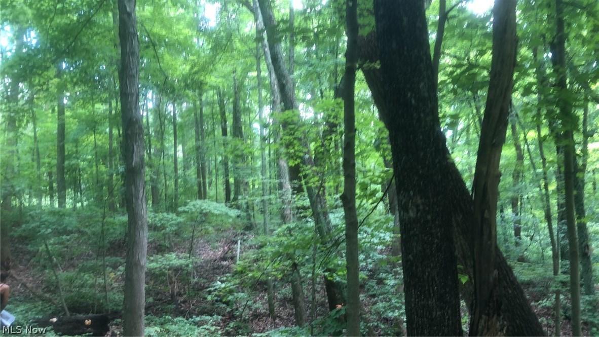 Burr Oak Hills SD - Land