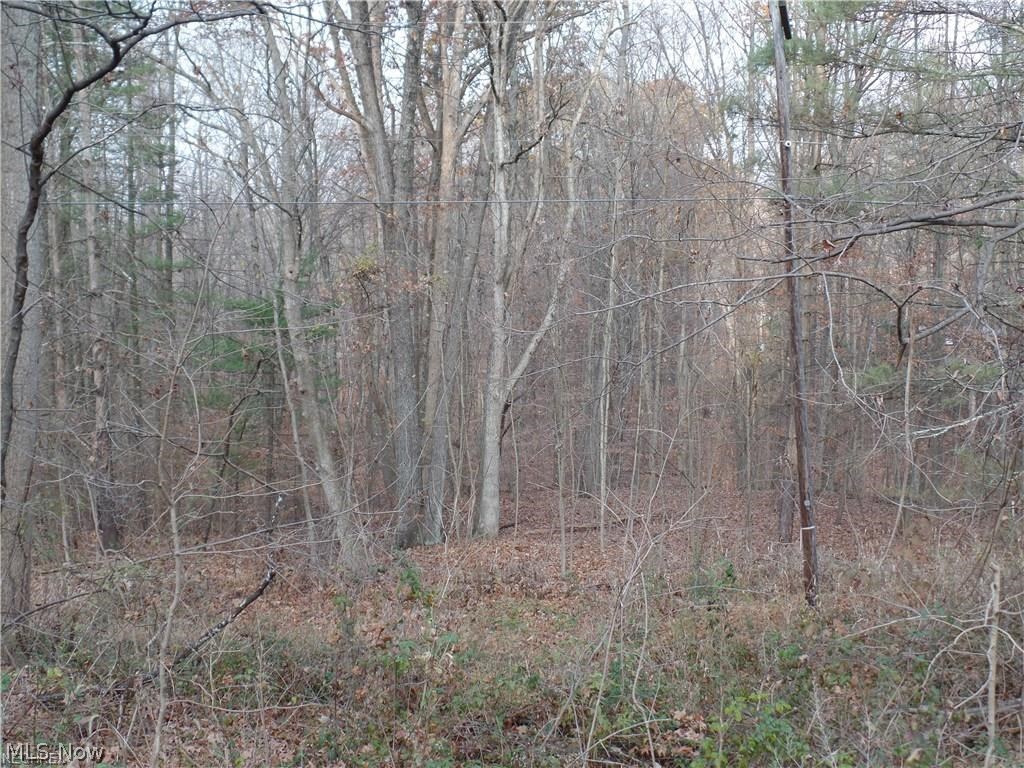 Burr Oak Hills SD - Land