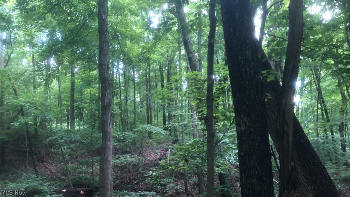 Burr Oak Hills SD - Land