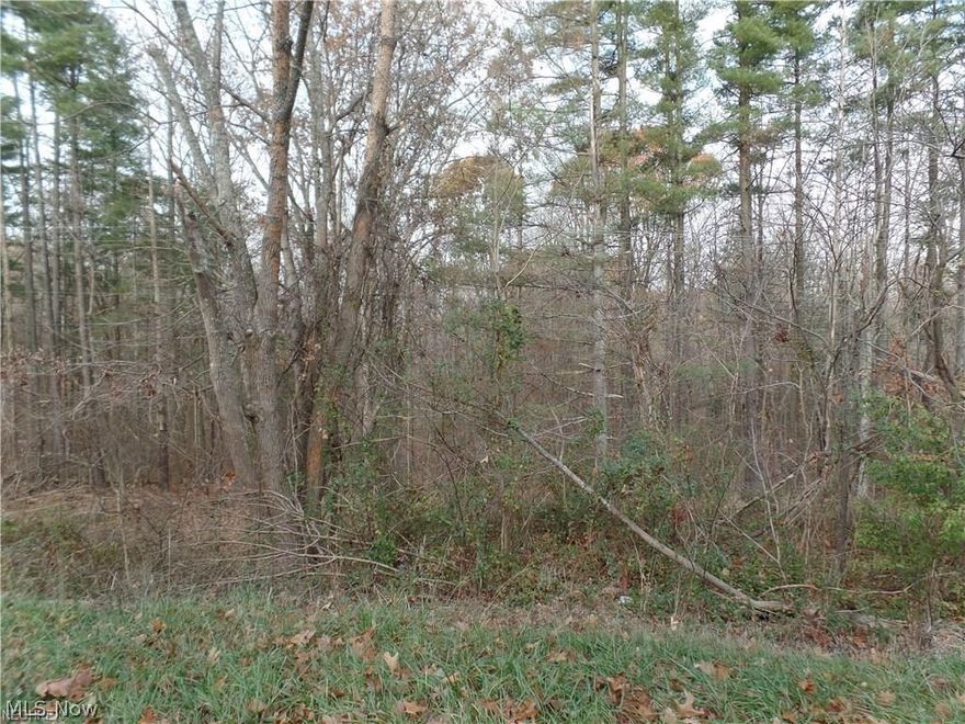 Love Fishing and Hunting? These building lots near Burr Oak State Park and Wolf Creek Wildlife Area. City Water available. Would be the perfect location for a cabin less than a mile from Burr Oak Lodge and Dock 2.
State Route 78 near Burr Oak State Park. Lots are located between house number 6309 SR 78 and Shaw Rd.