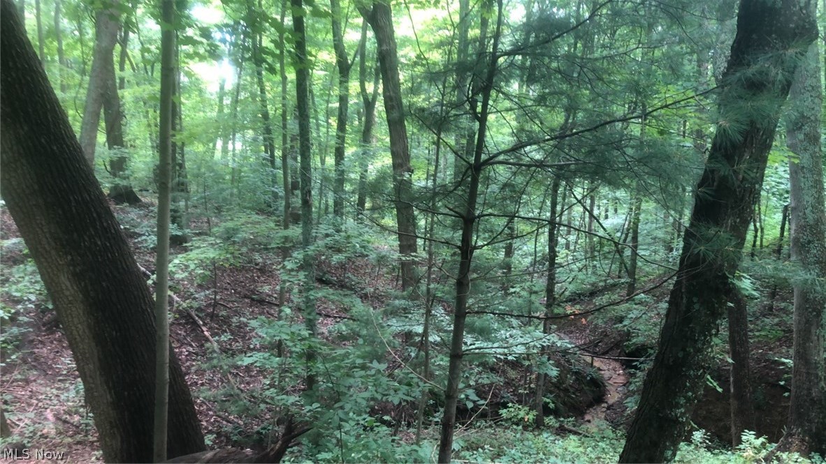 Burr Oak Hills SD - Land