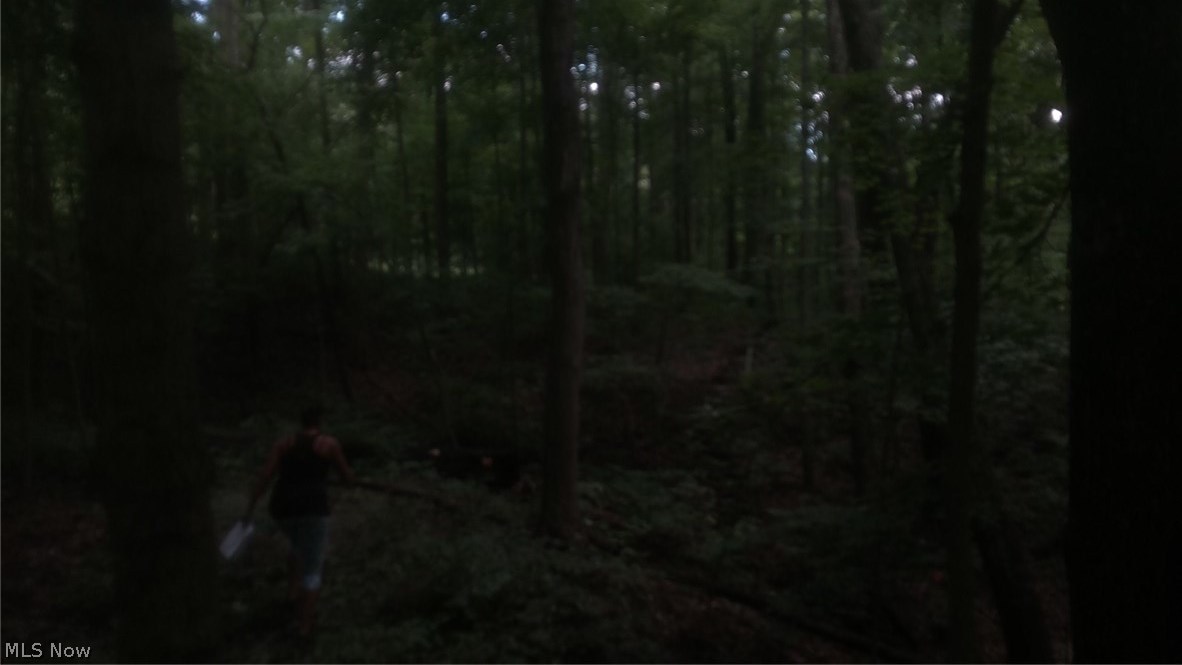 Burr Oak Hills SD - Land