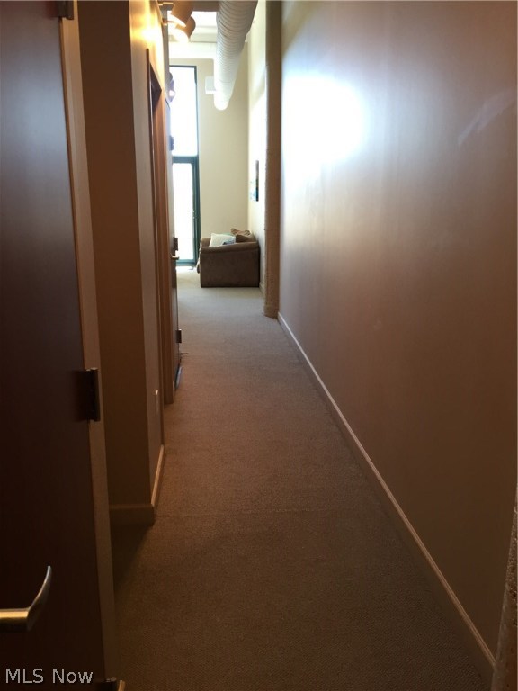 Chesapeake Lofts - Residential